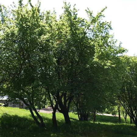 Fabryka Odpoczynku 农家乐 *