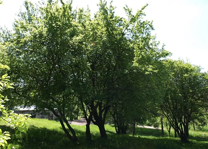 Fabryka Odpoczynku Agroturismo *